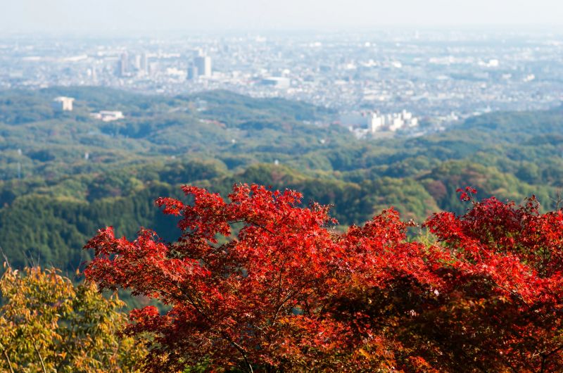 thành phố hachioji thành phố hachioji